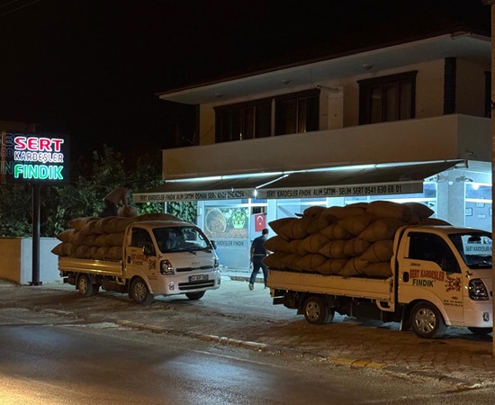Sert Kardeşler Fındık, taze ve doğal fındık çeşitleriyle kaliteli üretim ve güvenilir hizmet sunar. Lezzetli, sağlıklı ve özenle seçilmiş fındıkları müşterilere en taze haliyle ulaştırır.