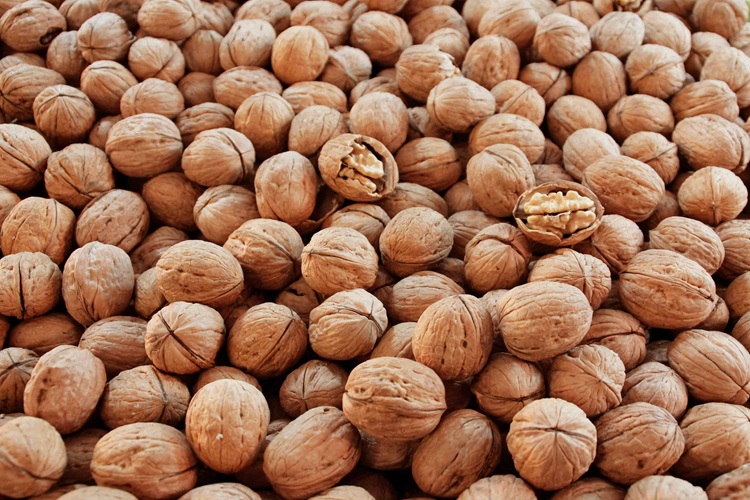 Sakarya Ceviz Alım Satımı