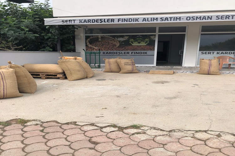 Sakarya Fındık Alım Satımı